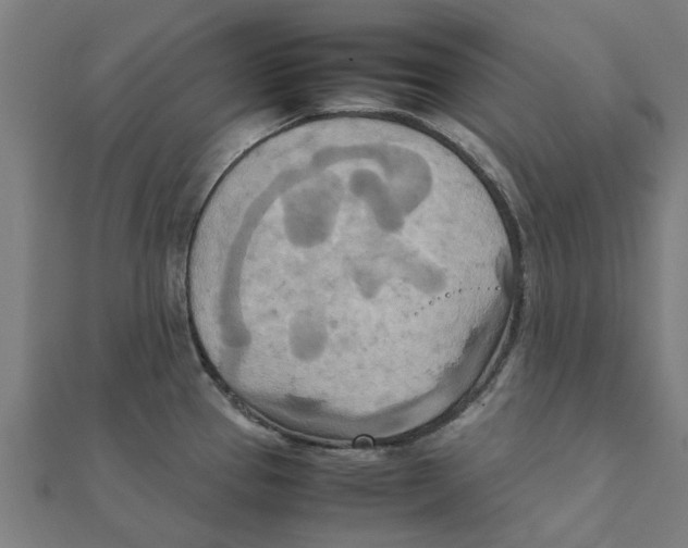 X0000111231337200907301238