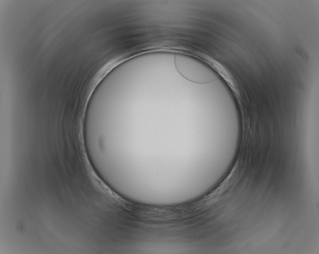 X0000111231338200907301238