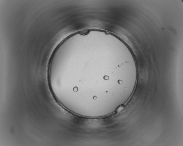 X0000111231339200907301238