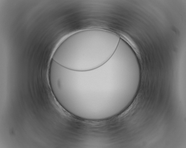 X0000111231340200907301238