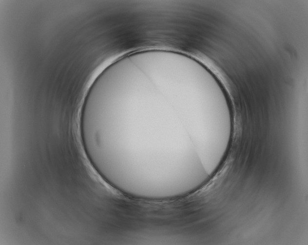 X0000111231341200907301238