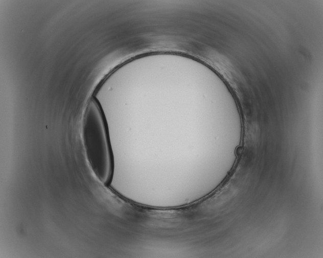 X0000111231342200907301238