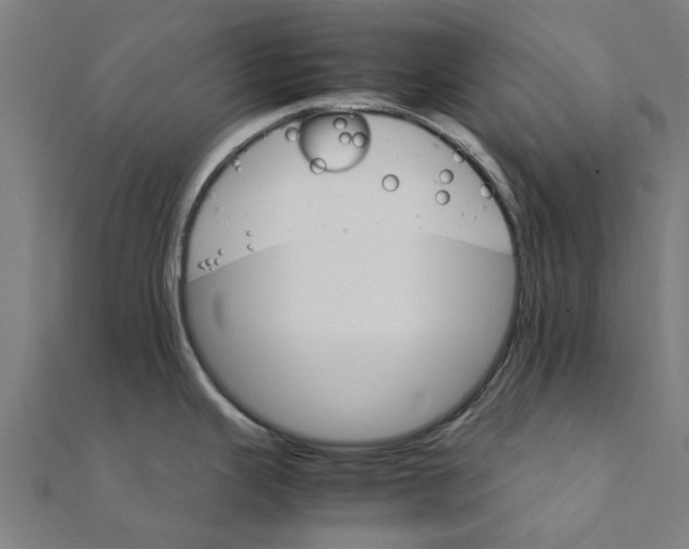 X0000111231343200907301238