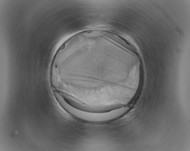 X0000111231344200907301238