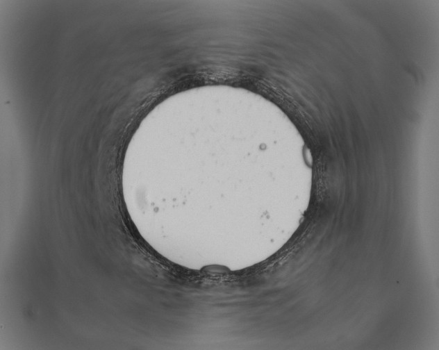 X0000111231345200907301238