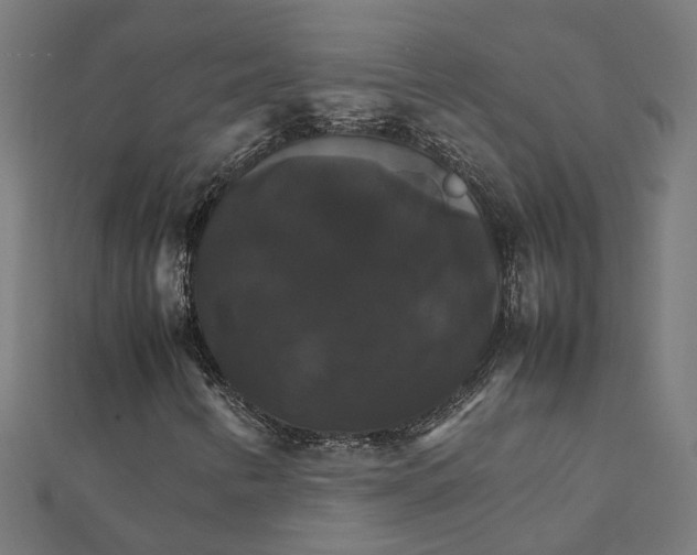 X0000111231346200907301238