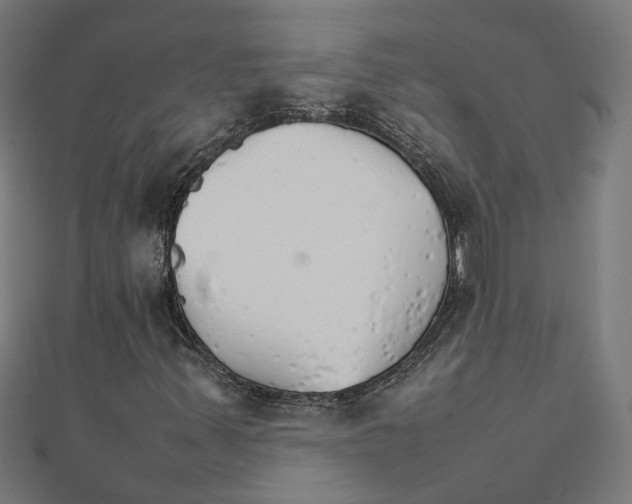 X0000111231347200907301238