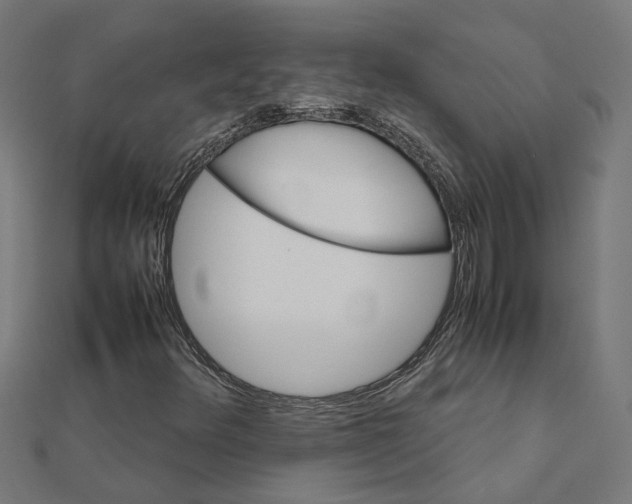 X0000111231348200907301238