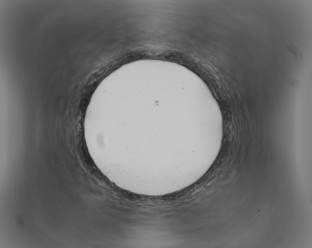 X0000111231349200907301238