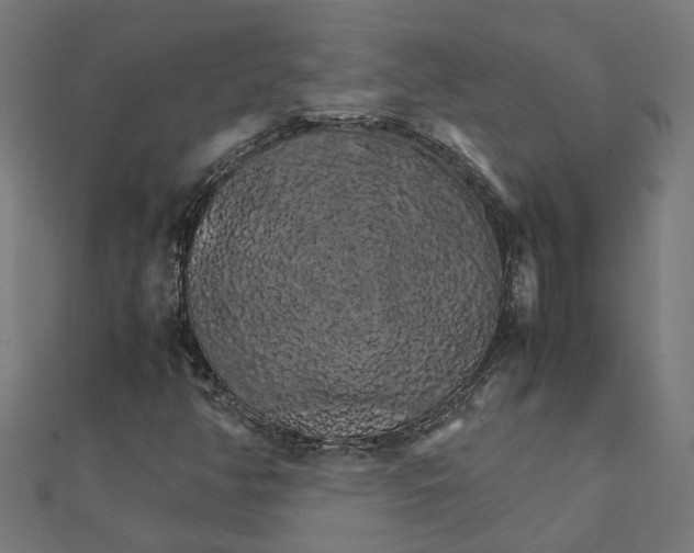 X0000111231350200907301238