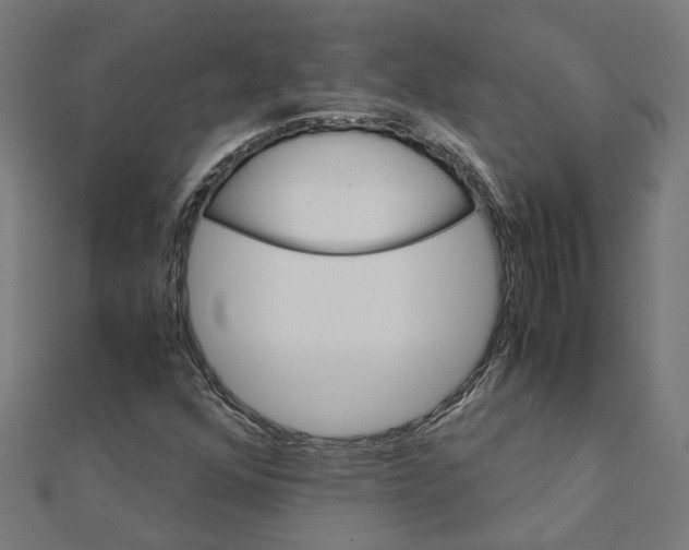 X0000111231352200907301238