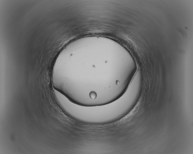 X0000111231353200907301238