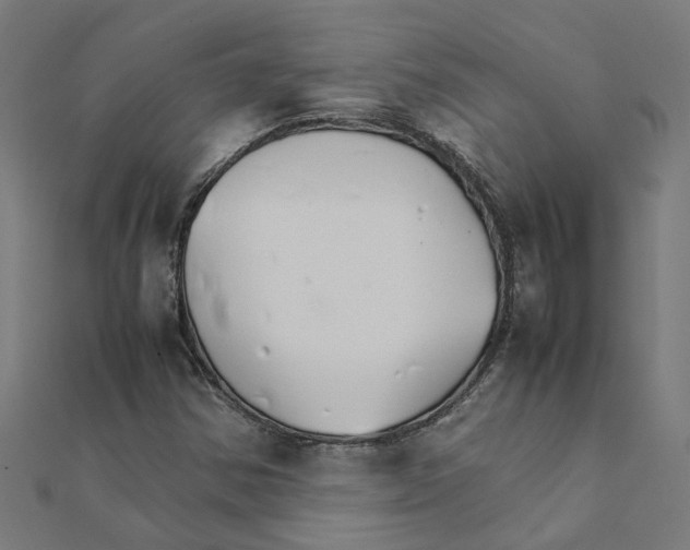 X0000111231354200907301238