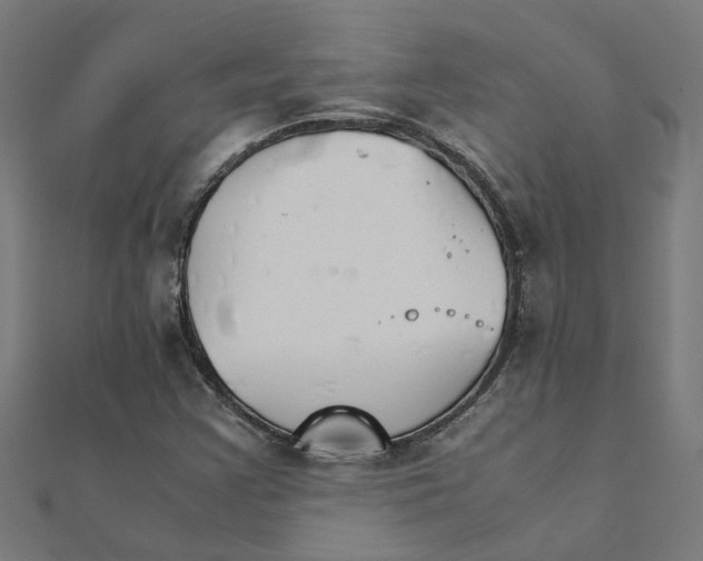 X0000111231355200907301238