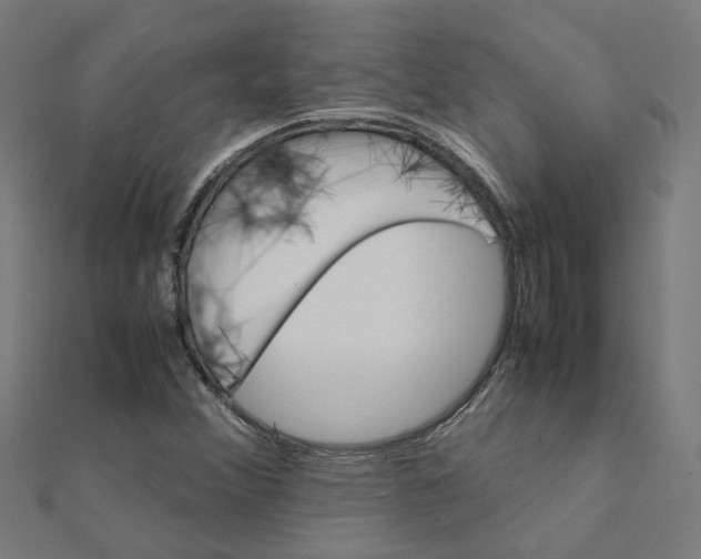 X0000111231356200907301238