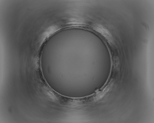 X0000111231357200907301238