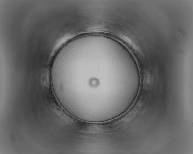 X0000111231358200907301238