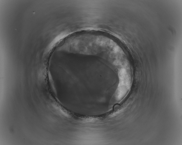 X0000111231359200907301238