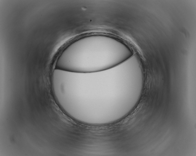 X0000111231360200907301238