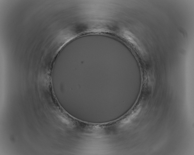 X0000111231361200907301238