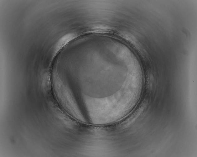 X0000111231362200907301237