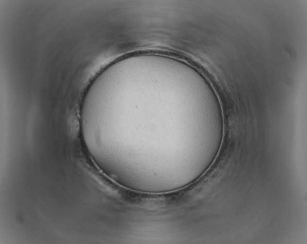 X0000111231363200907301237