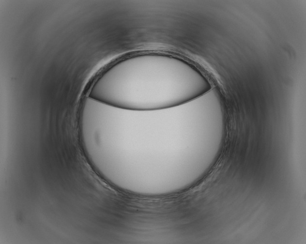 X0000111231364200907301237