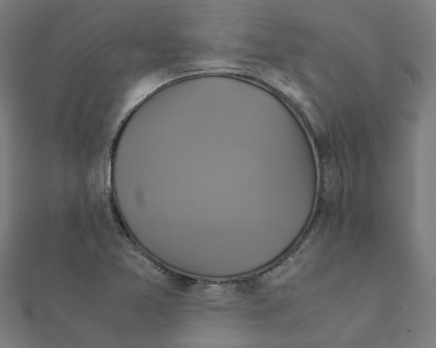 X0000111231365200907301237