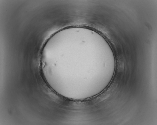 X0000111231366200907301237