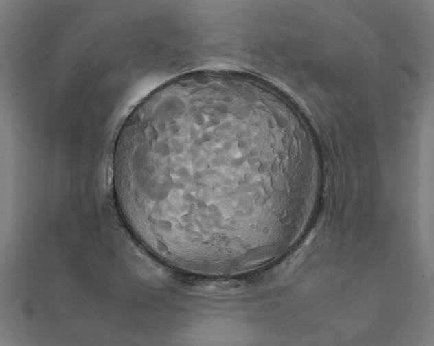 X0000111231367200907301237