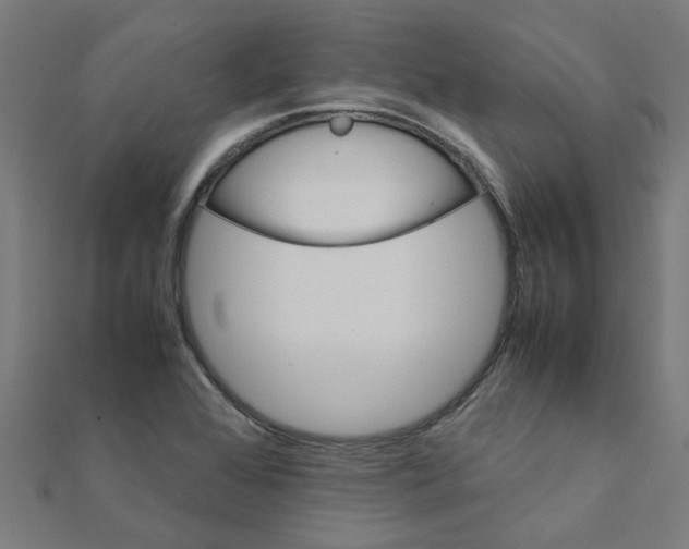 X0000111231368200907301237