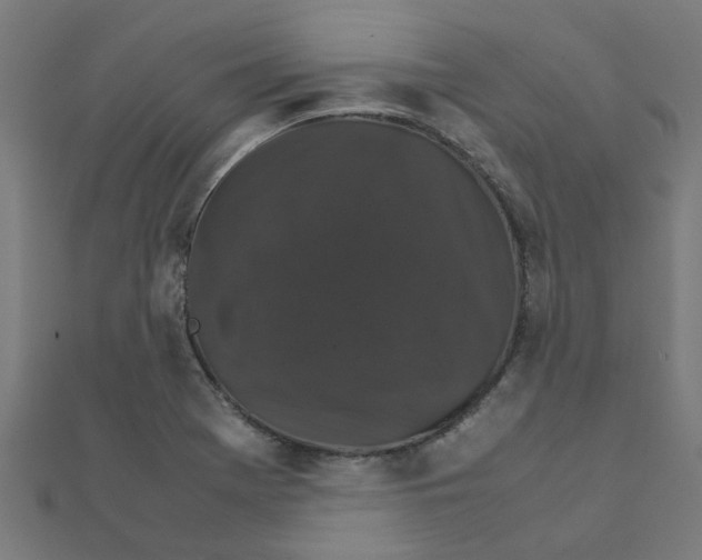 X0000111231369200907301237