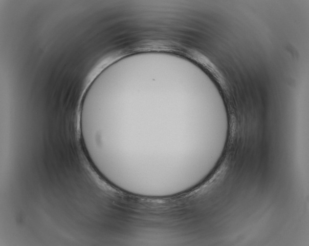 X0000111231370200907301237