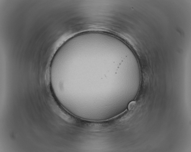 X0000111231371200907301237