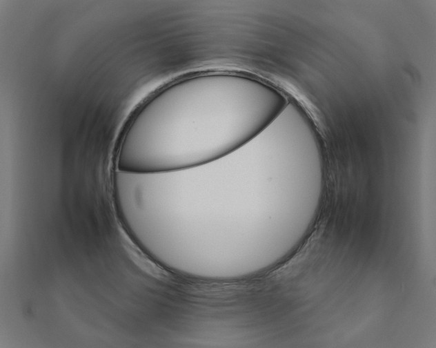 X0000111231372200907301237