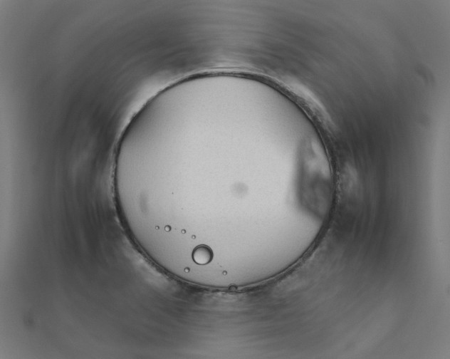 X0000111231374200907301237