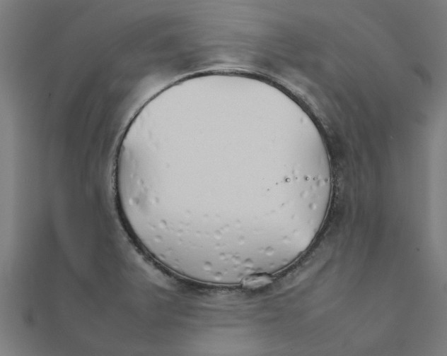 X0000111231375200907301237