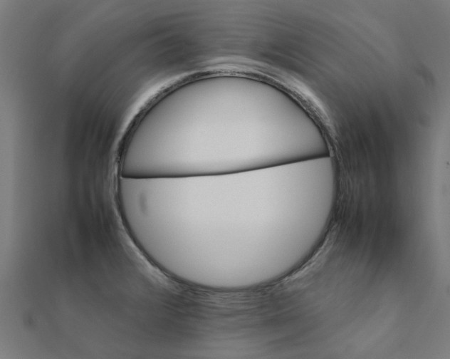 X0000111231376200907301237