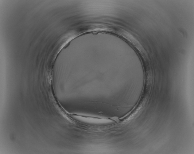 X0000111231377200907301237