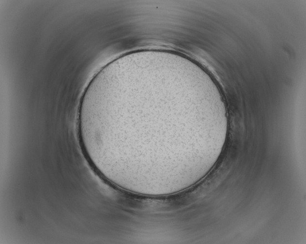 X0000111231379200907301237