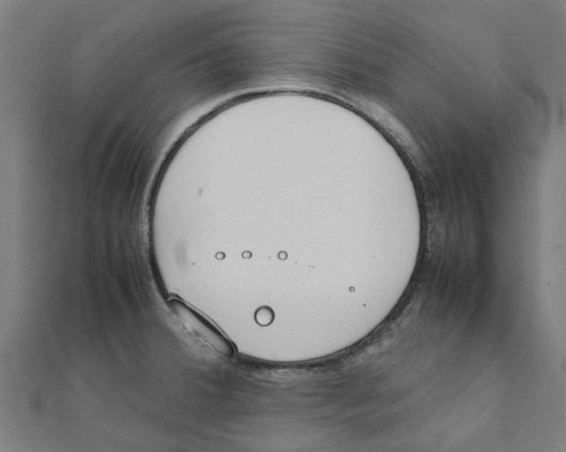 X0000111231380200907301237