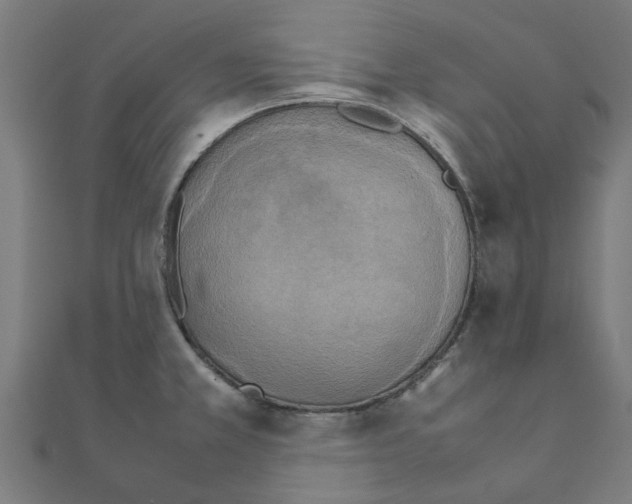 X0000111231381200907301237