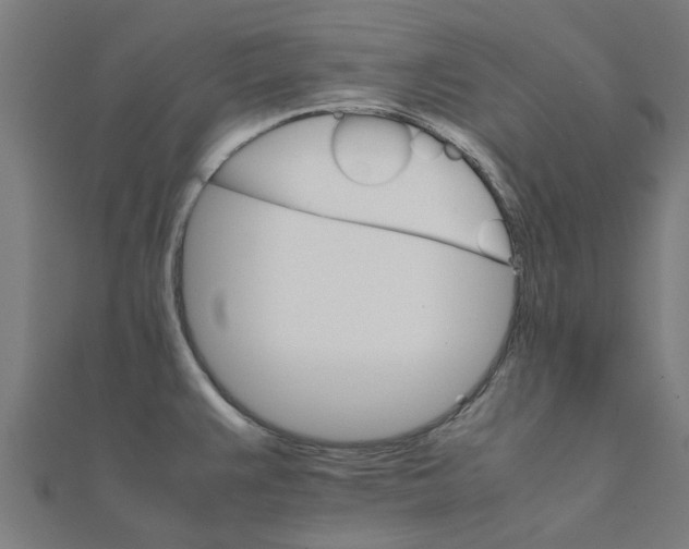 X0000111231383200907301237