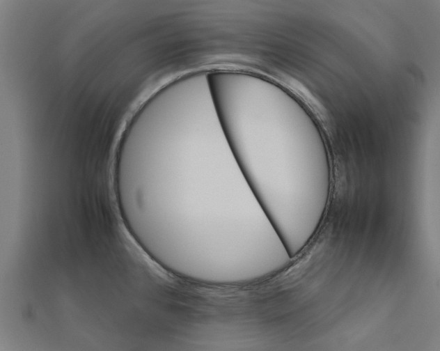 X0000111231384200907301237