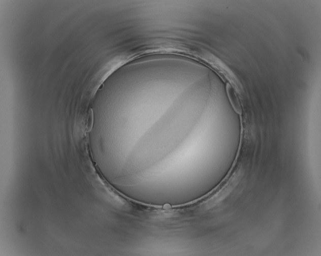 X0000111231385200907301237