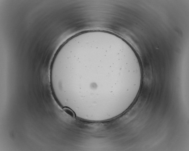 X0000111231388200907301237