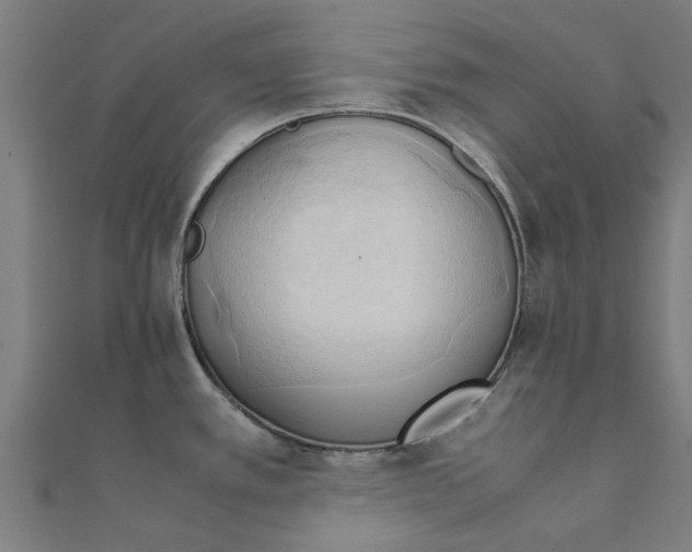 X0000111231389200907301237