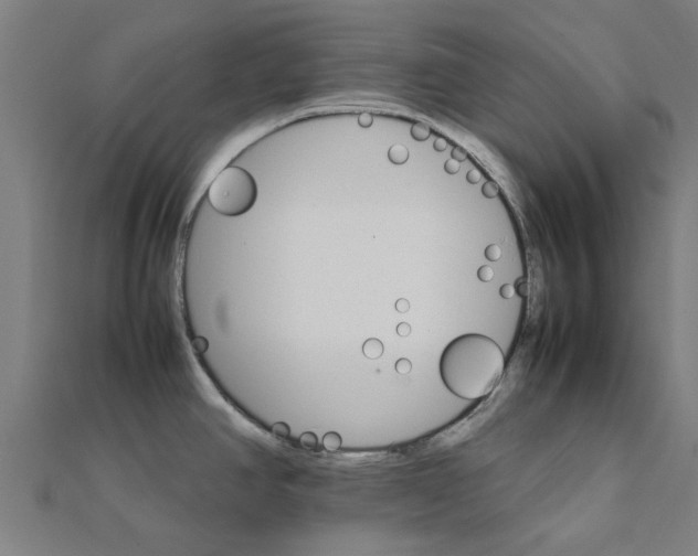 X0000111231390200907301237