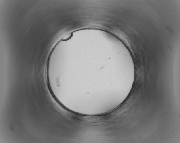 X0000111231391200907301237