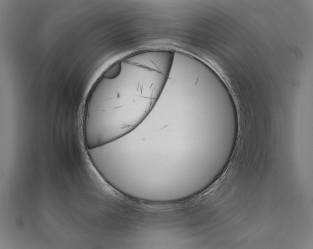 X0000111231392200907301237